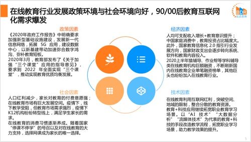 2020上半年度中国在线教育行业发展报告